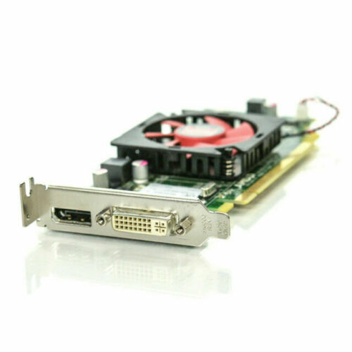 AMD Radeon HD 6450 1GB 64-bit DVI DP GDDR3 Low Profile Video Card